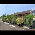 Rumah Dijual di Beji Tanah Baru Depok