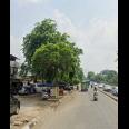 Dijual Tanah Bangunan Gudang di Raya TB Simatupang, Jakarta Selatan