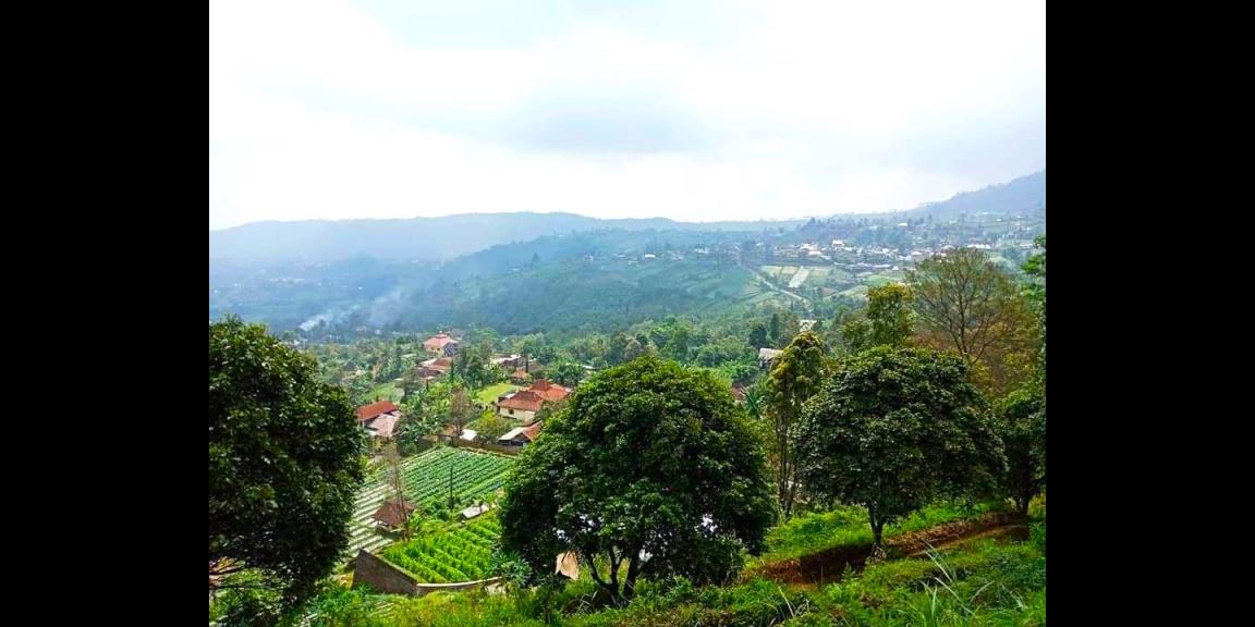 Tanah View Terbaik Kemuning Karanganyar Tanah View Terbaik Kemuning Karanganyar