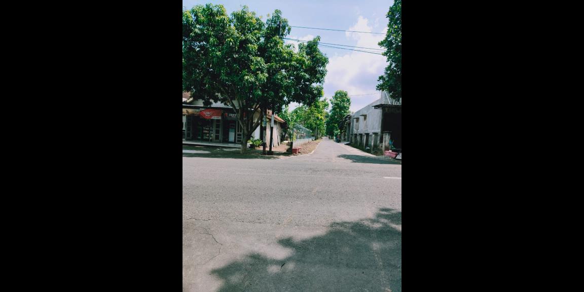 DIJUAL TANAH KEBUN JATI DEKAT PASAR KEDAWUNG SRAGEN DIJUAL TANAH KEBUN JATI DEKAT PASAR KEDAWUNG SRAGEN