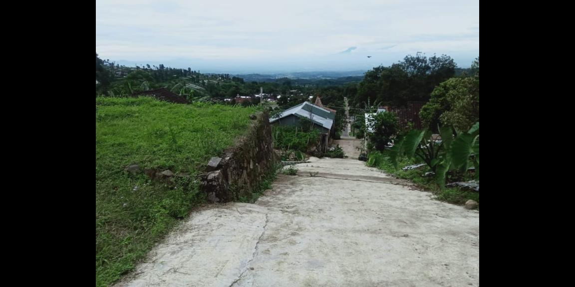 Tanah Idaman View Kebun Teh Kemuning Ngargoyoso Karanganyar Tanah Idaman View Kebun Teh Kemuning Ngargoyoso Karanganyar