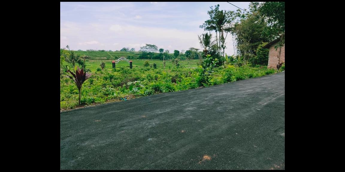 Tanah Strategis Dataran Tinggi View Sawah Karangpandan Karanganyar Tanah Strategis Dataran Tinggi View Sawah Karangpandan Karanganyar