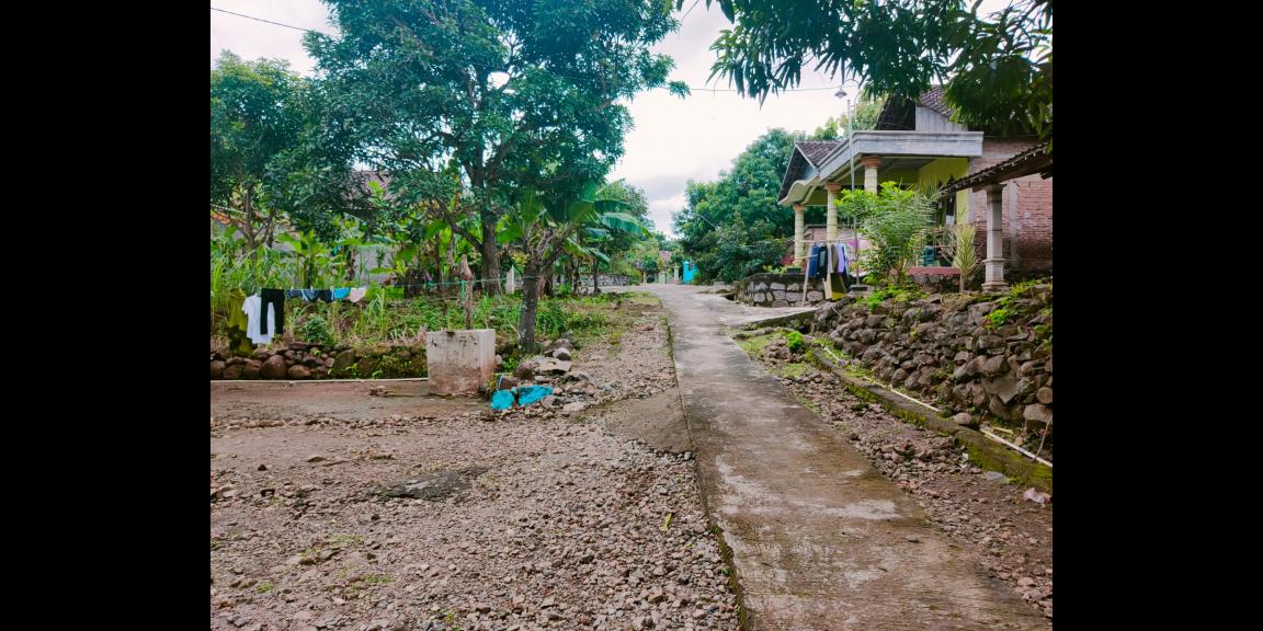 Tanah Cocok untuk Kebun Buah Masaran Sragen Tanah Cocok untuk Kebun Buah Masaran Sragen