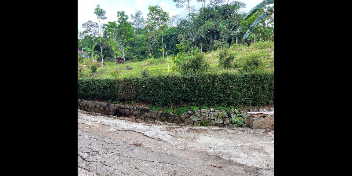 Tanah Super Datar Kerjo Karanganyar Tanah Super Datar Kerjo Karanganyar