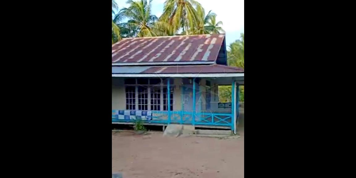 Tanah Dijual Jalan Mempawah Kalimantan Barat Tanah Dijual Jalan Mempawah Kalimantan Barat