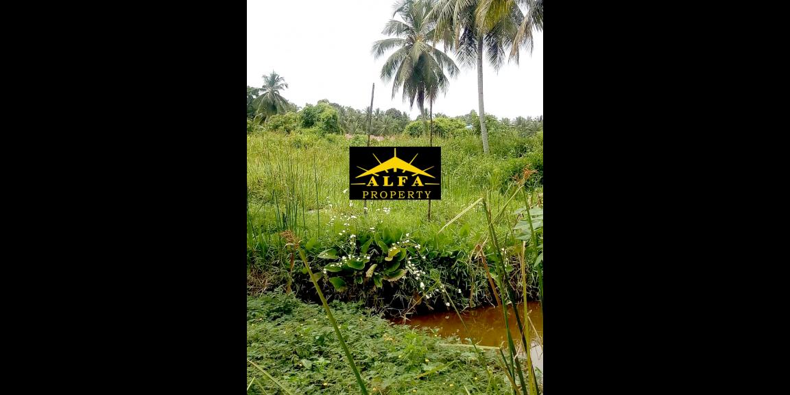 Tanah Pramuka, Sungai Rengas, Pontianak, Kalimantan Barat Tanah Pramuka, Sungai Rengas, Pontianak, Kalimantan Barat