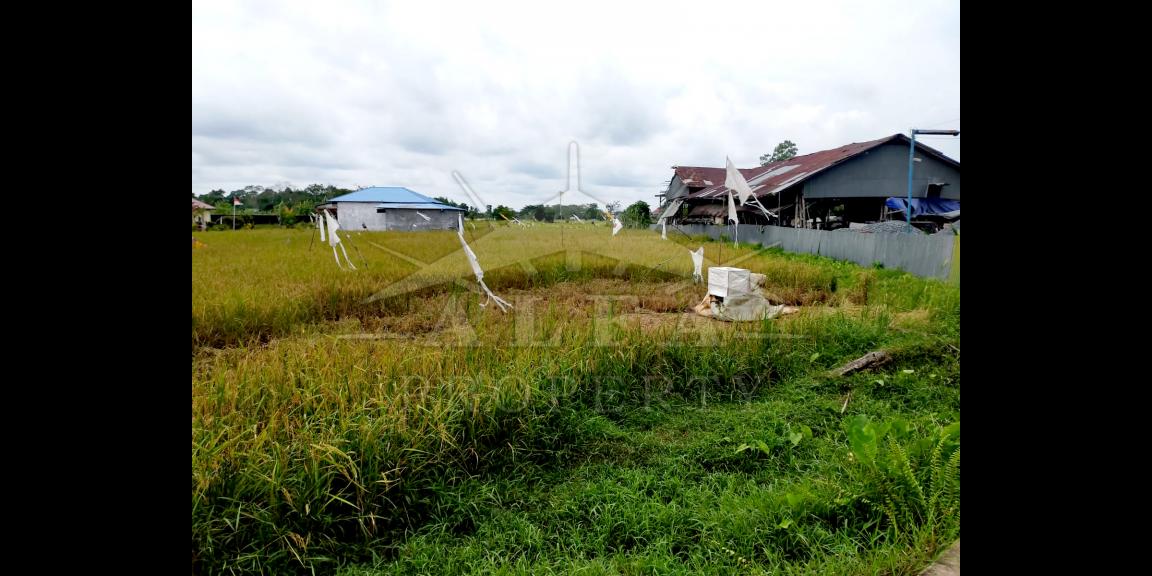 Tanah Dijual Jalan Ahmad Yani 2 Kota Pontianak Tanah Dijual Jalan Ahmad Yani 2 Kota Pontianak