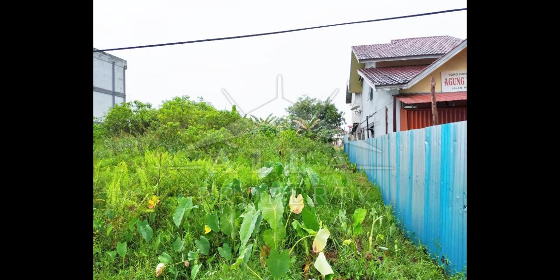Tanah Dijual Jalan Utama Perdamaian Kota Pontianak Tanah Dijual Jalan Utama Perdamaian Kota Pontianak