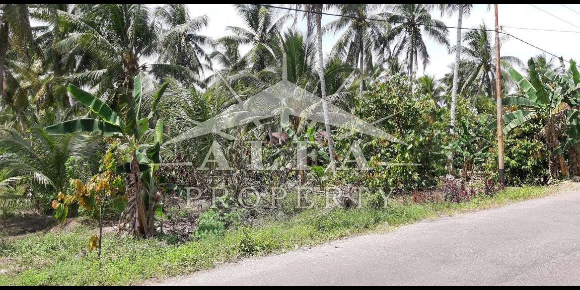 Tanah Jalan Mempawah Hilir Kalimantan Barat Dijual Tanah Jalan Mempawah Hilir Kalimantan Barat Dijual