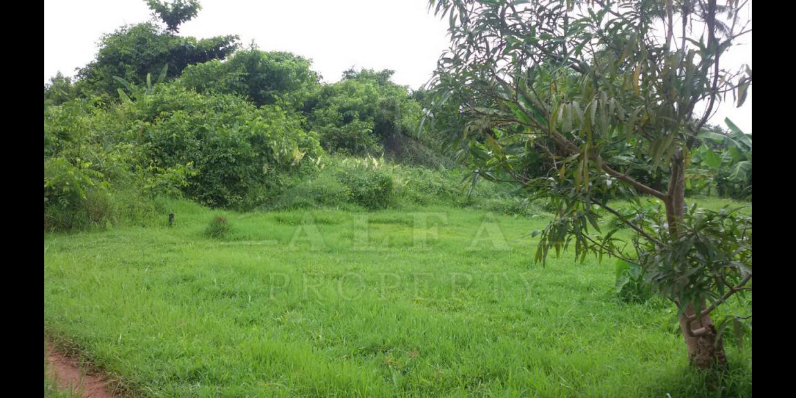 Tanah Jalan Karya Baru, Gg. H. Akub Kota Pontianak Dijual Tanah Jalan Karya Baru, Gg. H. Akub Kota Pontianak Dijual