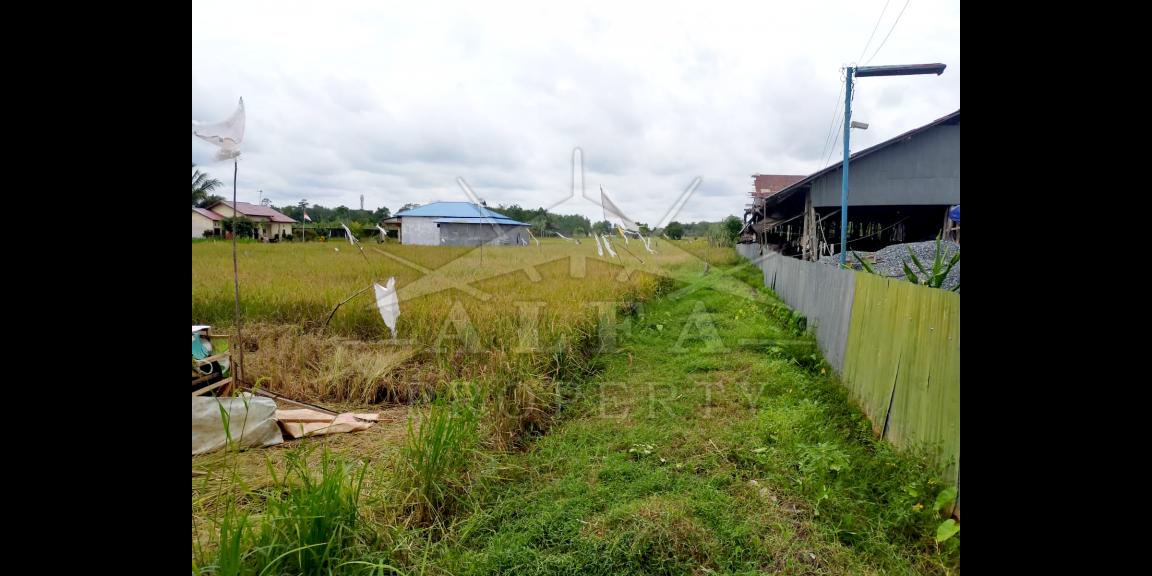 Tanah Dijual Jalan Ahmad Yani 2 Kota Pontianak Tanah Dijual Jalan Ahmad Yani 2 Kota Pontianak