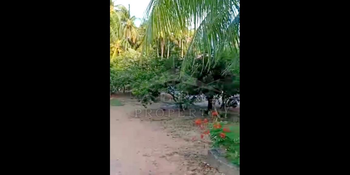 Tanah Dijual Jalan Mempawah Kalimantan Barat Tanah Dijual Jalan Mempawah Kalimantan Barat