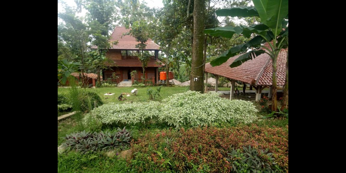 Tanah untuk Tempat Wisata / Resto / Villa / Cottage Tanah untuk Tempat Wisata / Resto / Villa / Cottage