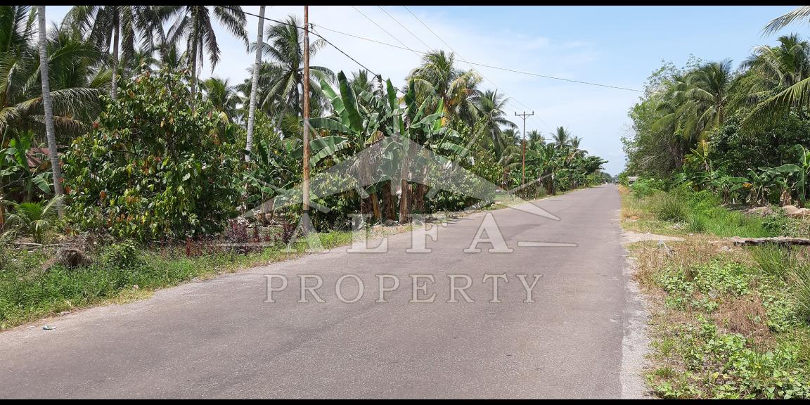 Tanah Jalan Mempawah Hilir Kalimantan Barat Dijual Tanah Jalan Mempawah Hilir Kalimantan Barat Dijual