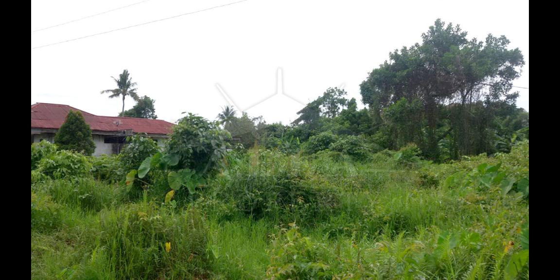 Tanah Jalan Karya Baru, Gg. H. Akub Kota Pontianak Dijual Tanah Jalan Karya Baru, Gg. H. Akub Kota Pontianak Dijual