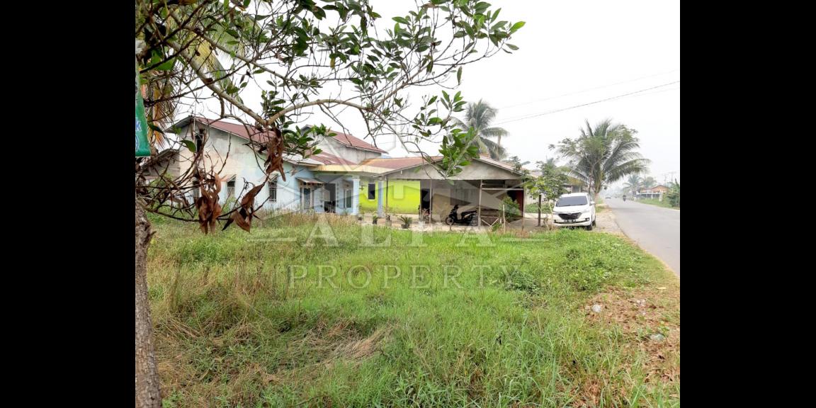 Tanah Dijual Pal 13 Kakap Kalimantan Barat Tanah Dijual Pal 13 Kakap Kalimantan Barat