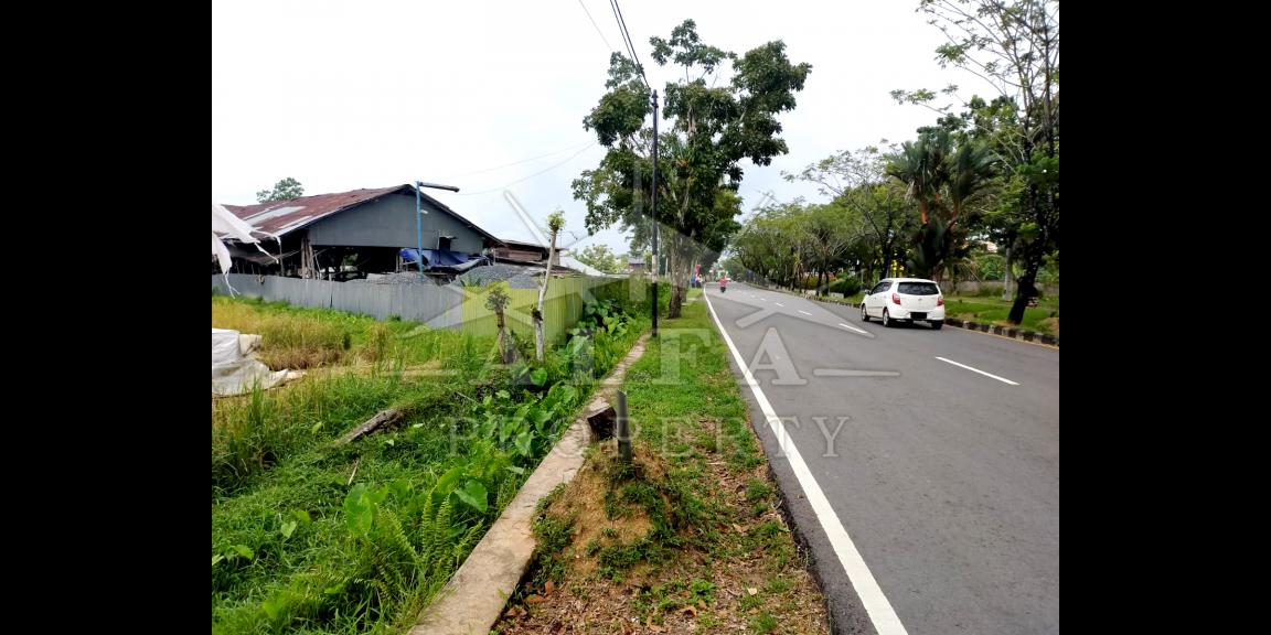 Tanah Dijual Jalan Ahmad Yani 2 Kota Pontianak Tanah Dijual Jalan Ahmad Yani 2 Kota Pontianak