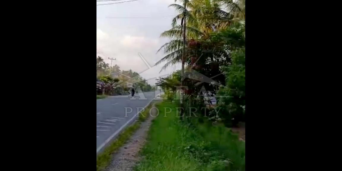 Tanah Dijual Jalan Mempawah Kalimantan Barat Tanah Dijual Jalan Mempawah Kalimantan Barat