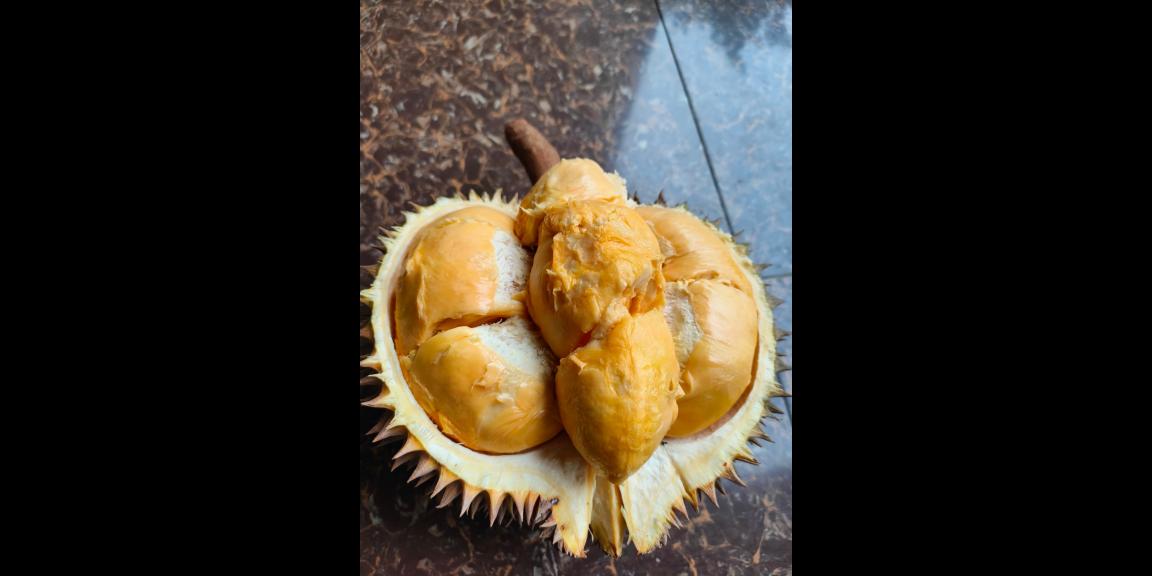 Tanah untuk Tempat Wisata / Resto / Villa / Cottage Tanah untuk Tempat Wisata / Resto / Villa / Cottage