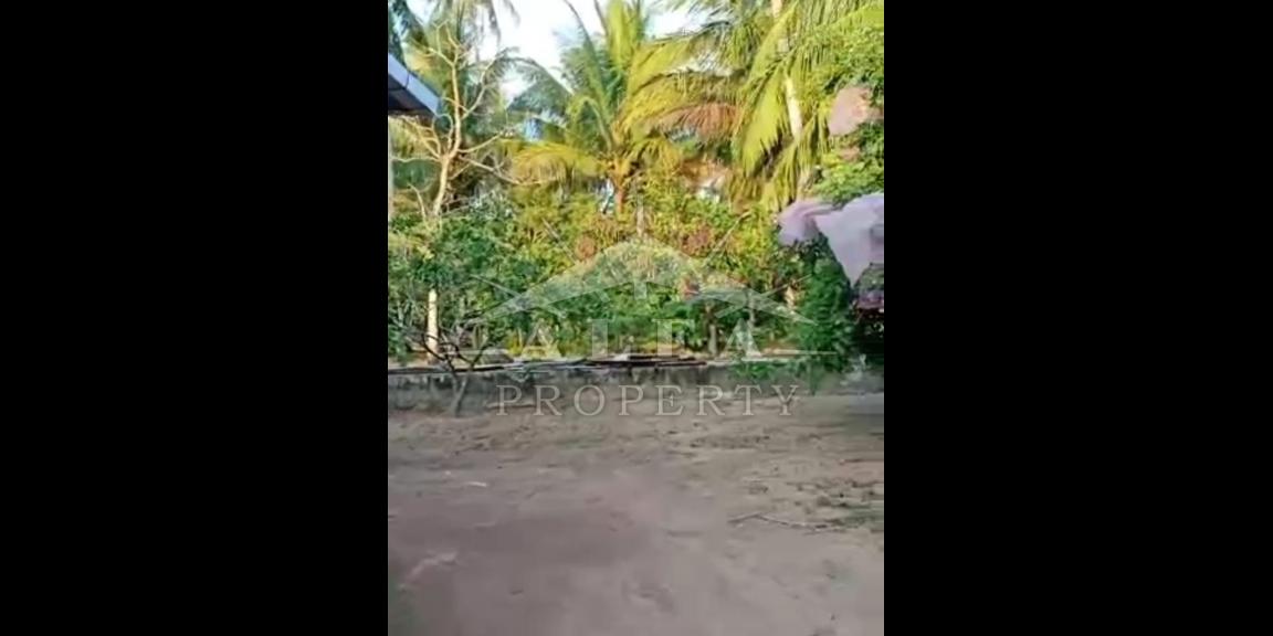 Tanah Dijual Jalan Mempawah Kalimantan Barat Tanah Dijual Jalan Mempawah Kalimantan Barat