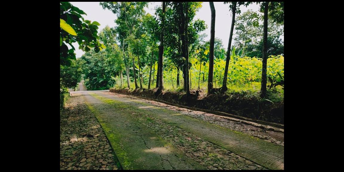 Tanah Datar Selatan Pasar Batujamus Mojogedang Karanganyar Tanah Datar Selatan Pasar Batujamus Mojogedang Karanganyar