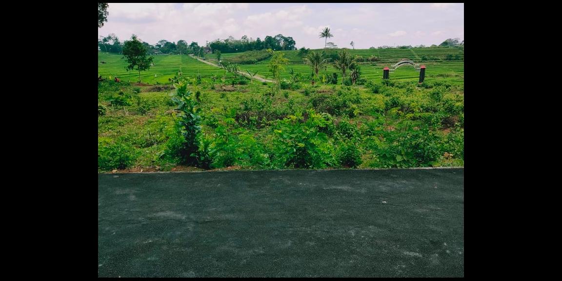 Tanah Strategis Dataran Tinggi View Sawah Karangpandan Karanganyar Tanah Strategis Dataran Tinggi View Sawah Karangpandan Karanganyar