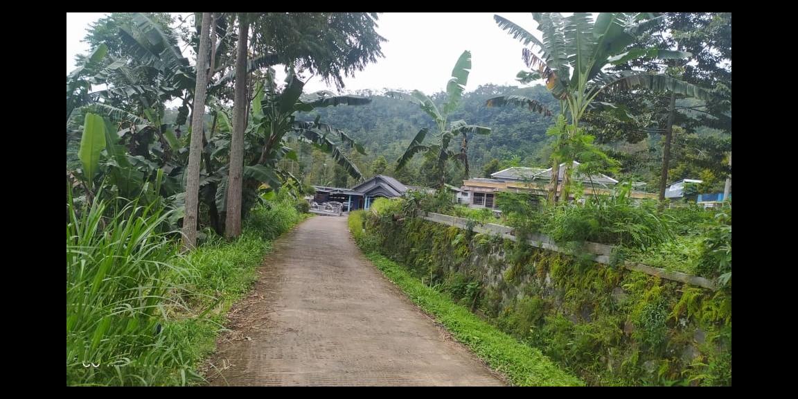Tanah Idaman View Kebun Teh Kemuning Ngargoyoso Karanganyar Tanah Idaman View Kebun Teh Kemuning Ngargoyoso Karanganyar