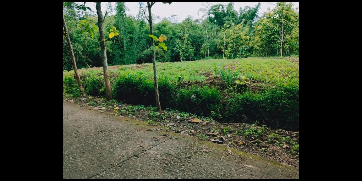 Tanah Datar Dibangun Rumah Tinggal Mojogedang Karanganyar Tanah Datar Dibangun Rumah Tinggal Mojogedang Karanganyar