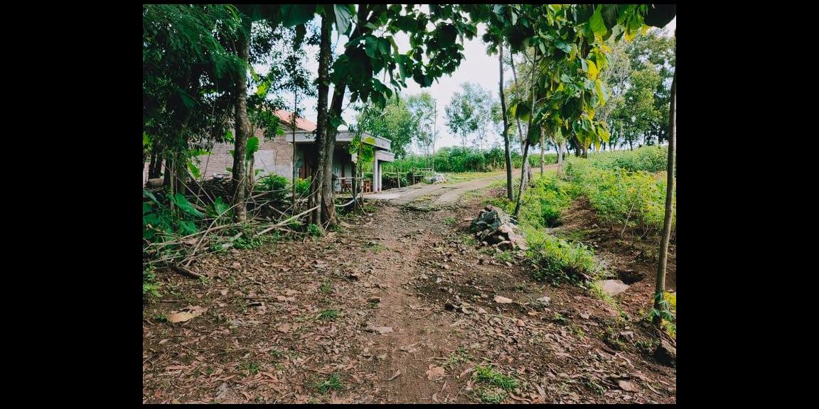 Tanah Strategis 3328m² Untuk Investasi Kebakkramat Karanganyar Tanah Strategis 3328m² Untuk Investasi Kebakkramat Karanganyar