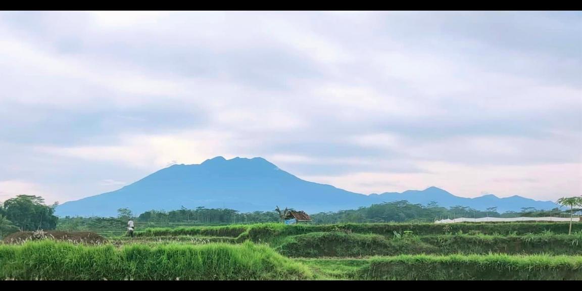 Dijual Cocok dibangun Homestay / Investasi Kerjo Karanganyar Dijual Cocok dibangun Homestay / Investasi Kerjo Karanganyar