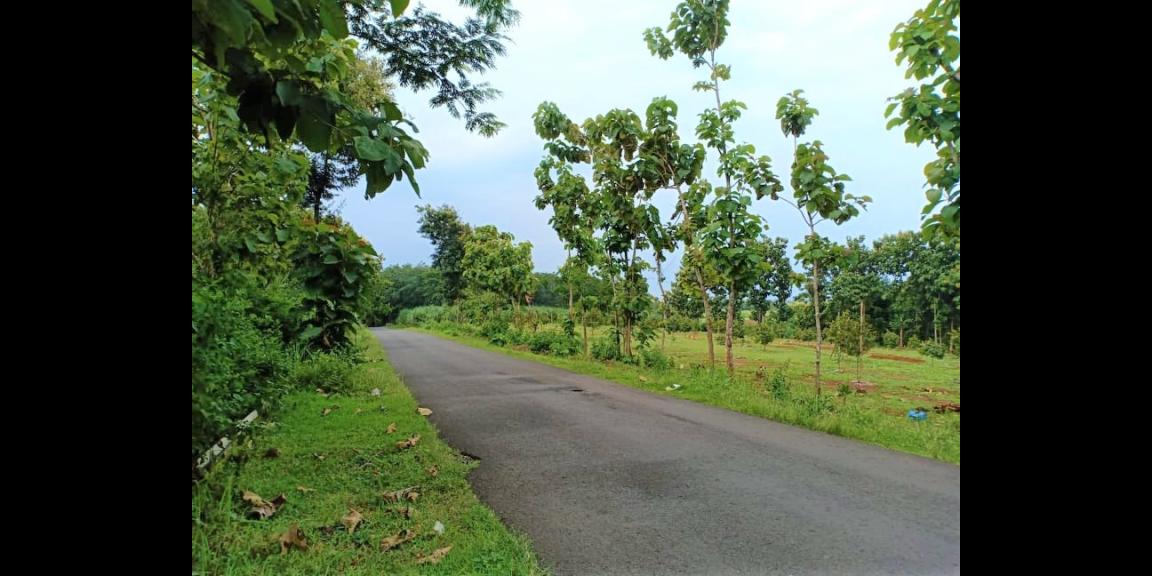 Jual Tanah Strategis 3000m² Jl Raya Sragen Kerjo Karanganyar Jual Tanah Strategis 3000m² Jl Raya Sragen Kerjo Karanganyar