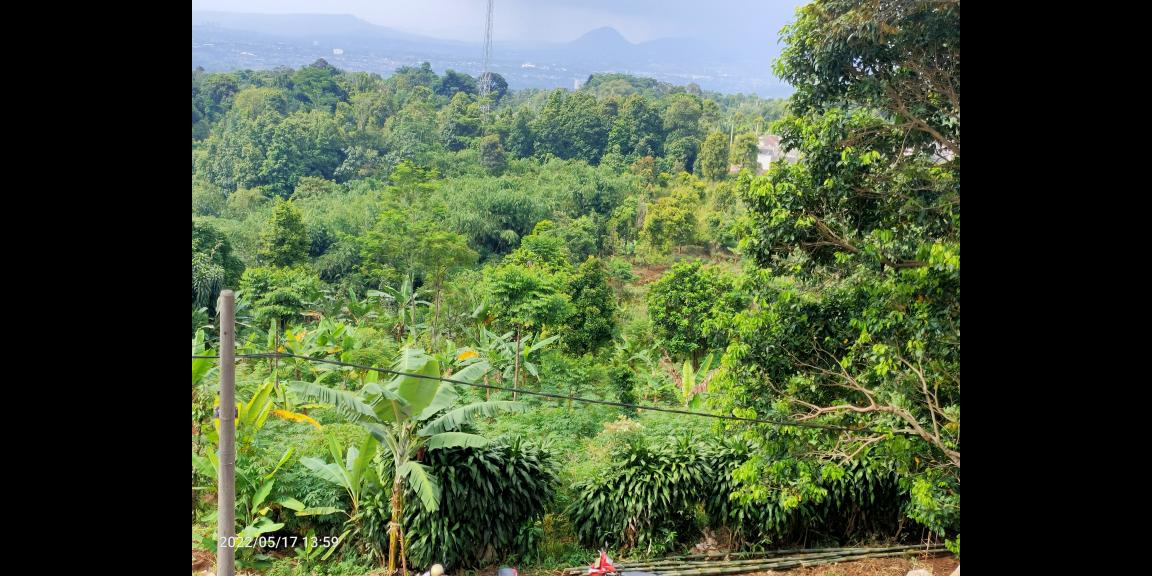 Jual Tanah di dataran tinggi Cijeruk Bogor View Indah Kota Bogor, Sentul dan Gunung Gede Jual Tanah di dataran tinggi Cijeruk Bogor View Indah Kota Bogor, Sentul dan Gunung Gede