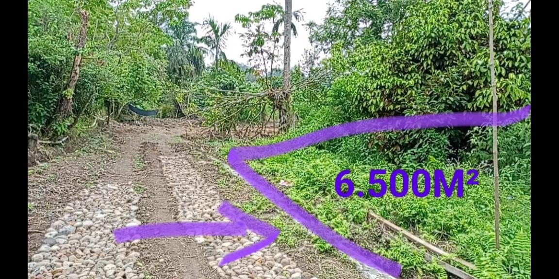 TANAH DIPINGGIR JALAN DESA BANDAR BARU SUMATERA UTARA (081264304189) TANAH DIPINGGIR JALAN DESA BANDAR BARU SUMATERA UTARA (081264304189)