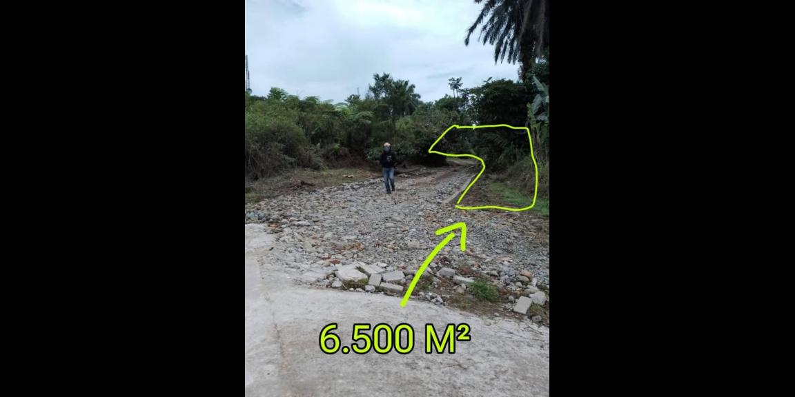 TANAH DIPINGGIR JALAN DESA BANDAR BARU SUMATERA UTARA (081264304189) TANAH DIPINGGIR JALAN DESA BANDAR BARU SUMATERA UTARA (081264304189)