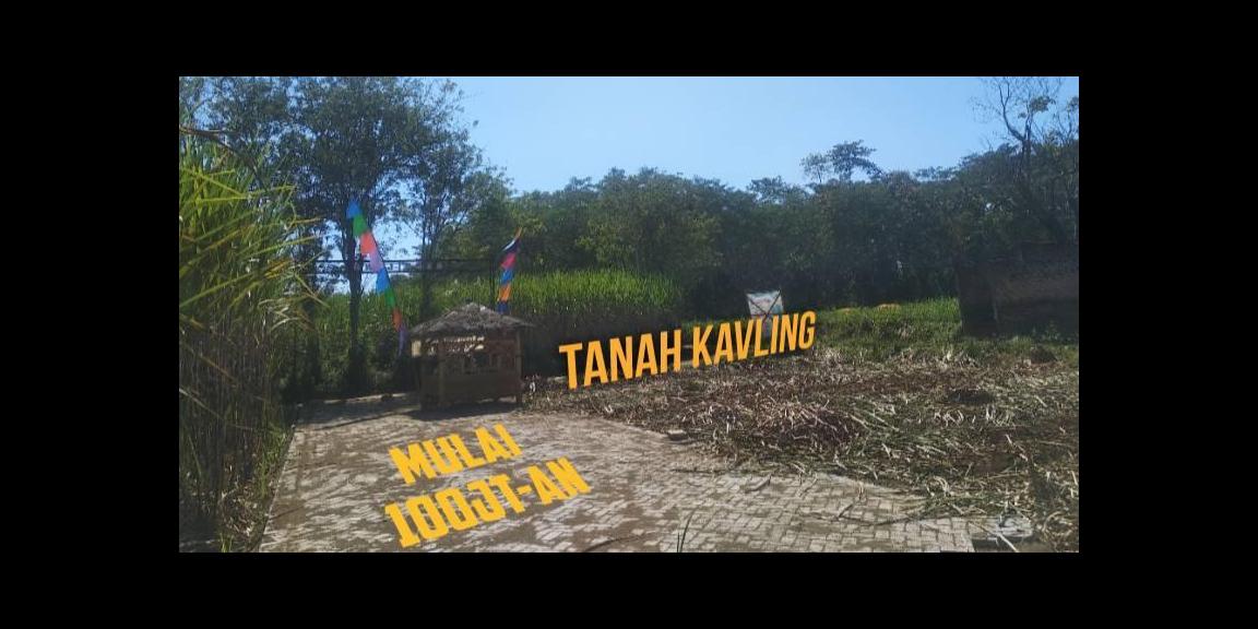 Tanah Kavling Singosari Tanah Kavling Singosari