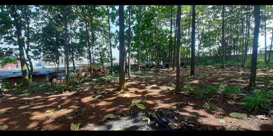 TANAH KOMERSIAL MAIN ROAD RAYA BATUJAJAR BANDUNG BARAT TANAH KOMERSIAL MAIN ROAD RAYA BATUJAJAR BANDUNG BARAT