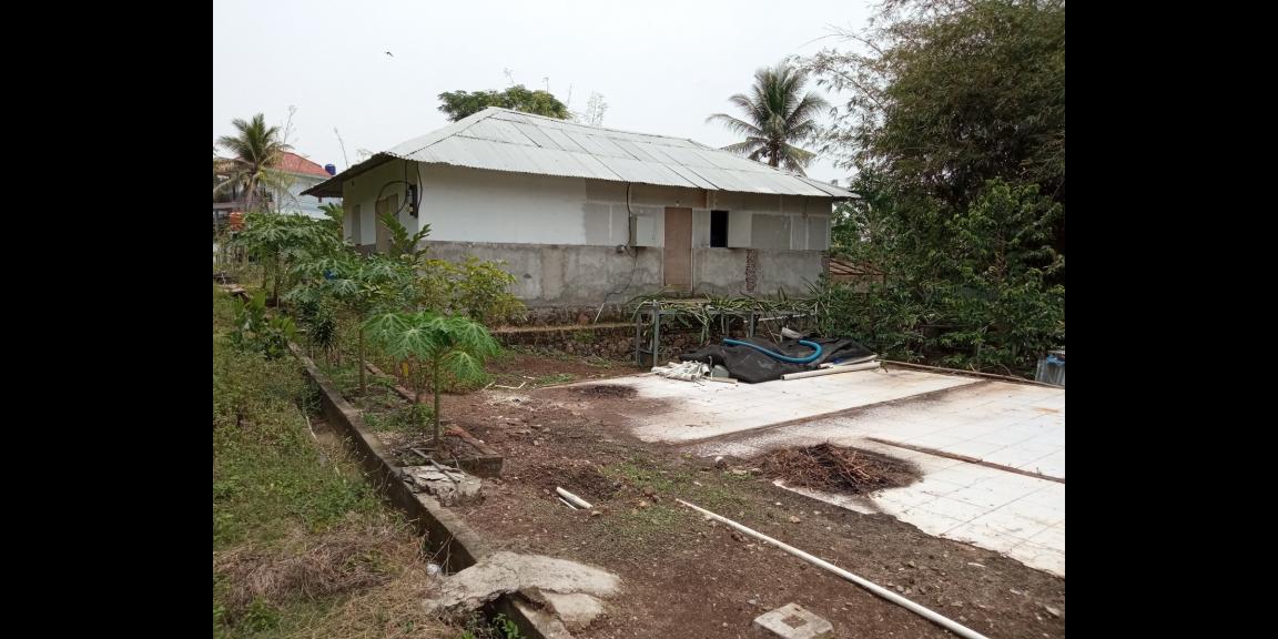 DIJUAL LAHAN KEBUN HOLTIKULTURA BUAH NAGA & TIN LINGKAR SELATAN, CILEGON DIJUAL LAHAN KEBUN HOLTIKULTURA BUAH NAGA & TIN LINGKAR SELATAN, CILEGON