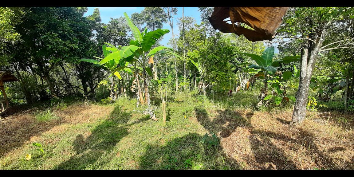 TANAH KOMERSIAL MAIN ROAD ARCAMANIK SINDANGLAYA BANDUNG TANAH KOMERSIAL MAIN ROAD ARCAMANIK SINDANGLAYA BANDUNG