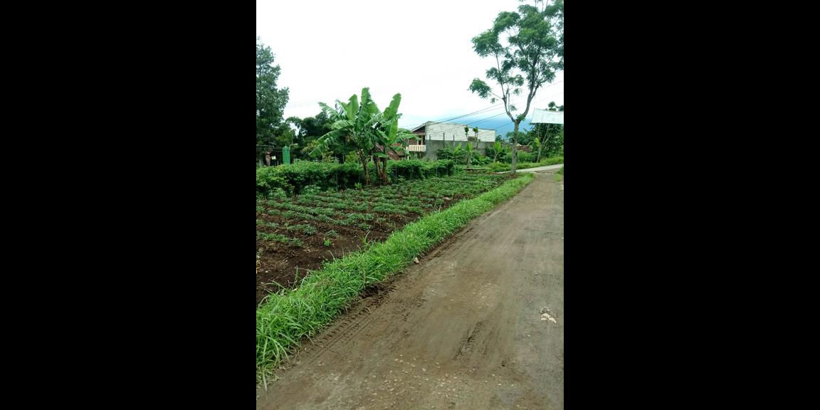 TANAH UNTUK PERUMAHAN DAN PERMUKIMAN DEKAT GT. PAMULIHAN TANJUNGSARI SUMEDANG TANAH UNTUK PERUMAHAN DAN PERMUKIMAN DEKAT GT. PAMULIHAN TANJUNGSARI SUMEDANG