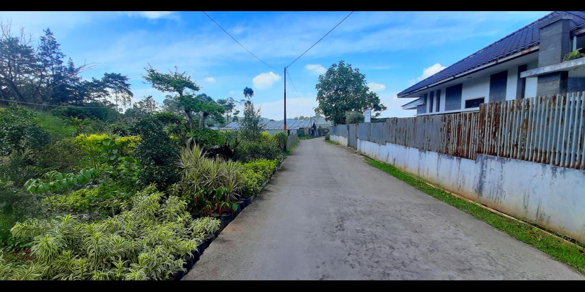 TANAH KAVLING STRAWBERRY SAYAP SERSAN BAJURI BANDUNG TANAH KAVLING STRAWBERRY SAYAP SERSAN BAJURI BANDUNG