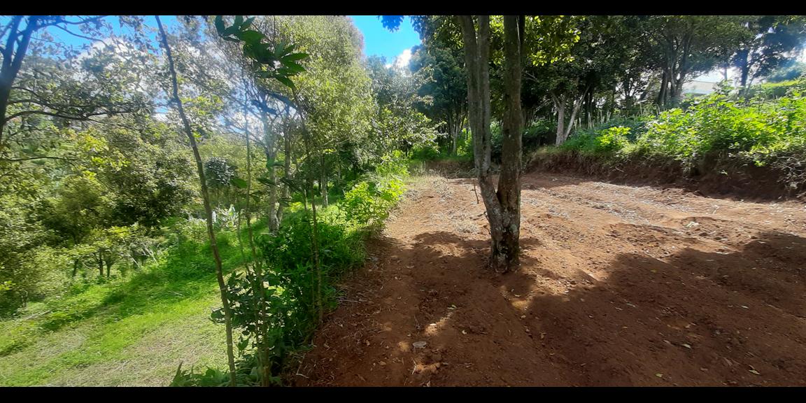 TANAH HUNIAN DAN KOMERSIL DI CIUMBULEUIT BANDUNG TANAH HUNIAN DAN KOMERSIL DI CIUMBULEUIT BANDUNG