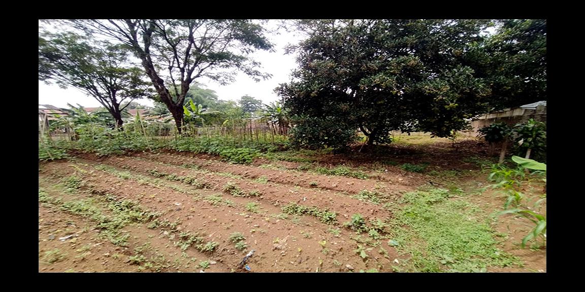 TANAH 1023 M2 BONUS RUMAH SERASA VILLA SUASANA PEDESAAN DEKAT STASIUN WHOOSH TEGALLUAR BANDUNG TANAH 1023 M2 BONUS RUMAH SERASA VILLA SUASANA PEDESAAN DEKAT STASIUN WHOOSH TEGALLUAR BANDUNG