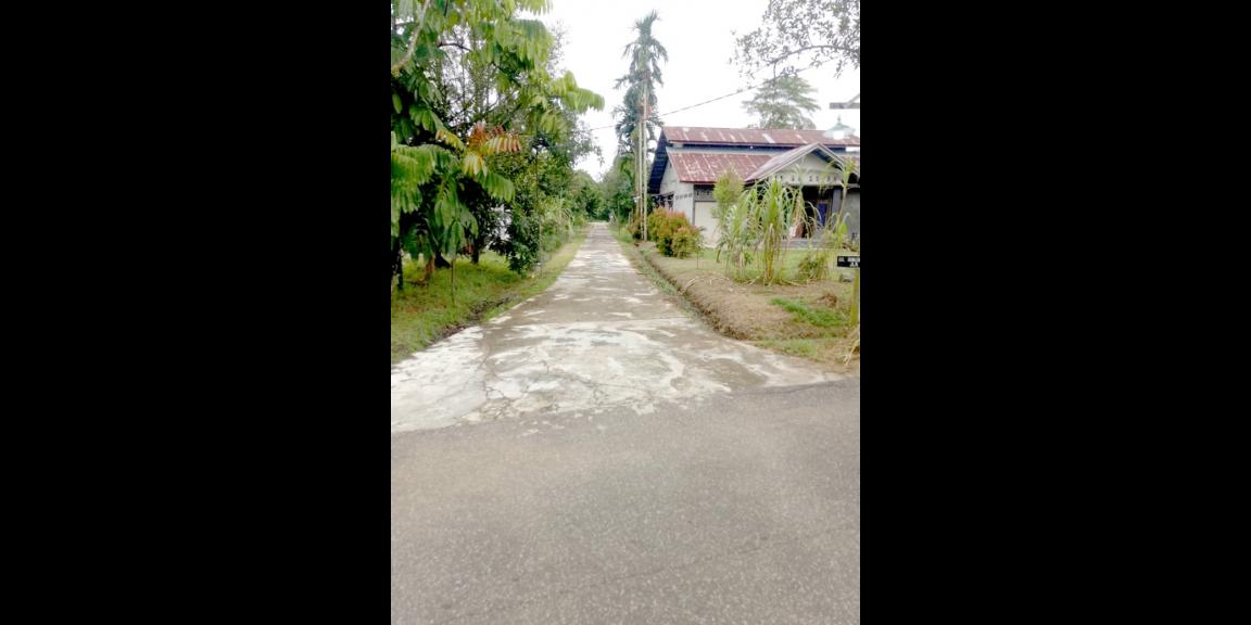 Tanah Gg. Ringin Sari, Pontianak, Kalimantan Barat Tanah Gg. Ringin Sari, Pontianak, Kalimantan Barat