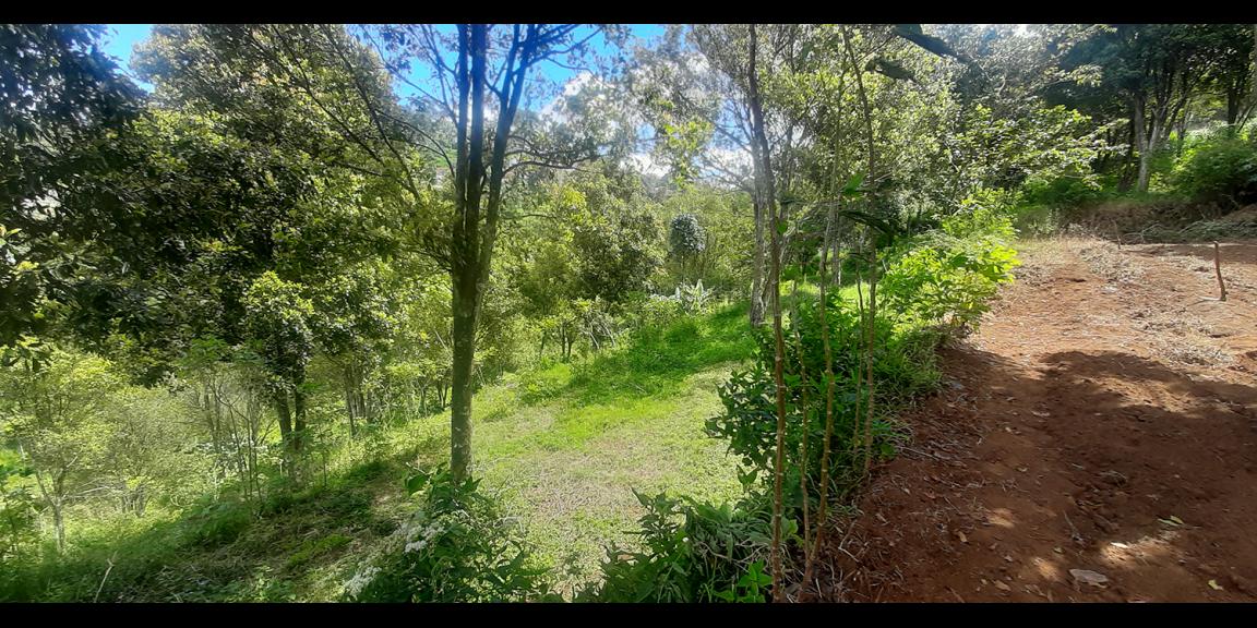 TANAH HUNIAN DAN KOMERSIL DI CIUMBULEUIT BANDUNG TANAH HUNIAN DAN KOMERSIL DI CIUMBULEUIT BANDUNG