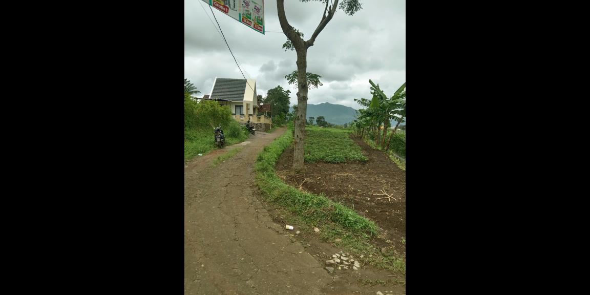 TANAH UNTUK PERUMAHAN DAN PERMUKIMAN DEKAT GT. PAMULIHAN TANJUNGSARI SUMEDANG TANAH UNTUK PERUMAHAN DAN PERMUKIMAN DEKAT GT. PAMULIHAN TANJUNGSARI SUMEDANG