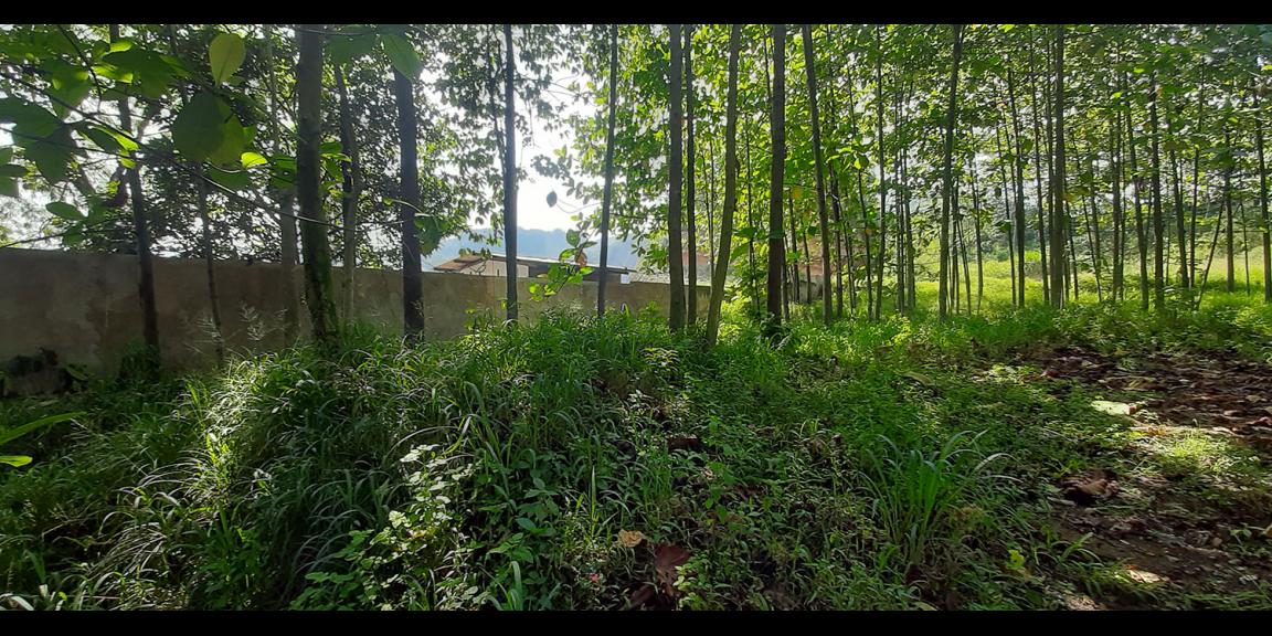 TANAH KOMERSIAL MAIN ROAD RAYA BATUJAJAR BANDUNG BARAT TANAH KOMERSIAL MAIN ROAD RAYA BATUJAJAR BANDUNG BARAT