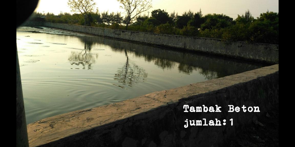 Jual tanah dan Tambak di Pantai blebak jepara Jual tanah dan Tambak di Pantai blebak jepara