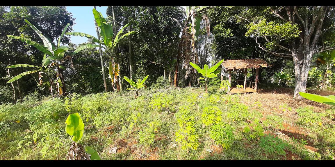 TANAH KOMERSIAL MAIN ROAD ARCAMANIK SINDANGLAYA BANDUNG TANAH KOMERSIAL MAIN ROAD ARCAMANIK SINDANGLAYA BANDUNG