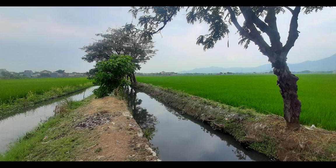 TANAH UNTUK PERUMAHAN DEKAT PODOMORO PARK BUAH BATU BANDUNG TANAH UNTUK PERUMAHAN DEKAT PODOMORO PARK BUAH BATU BANDUNG