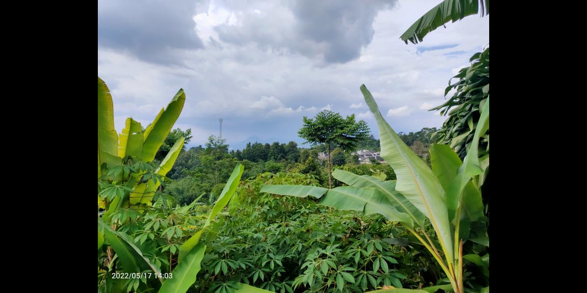 Jual Tanah di dataran tinggi Cijeruk Bogor View Indah Kota Bogor, Sentul dan Gunung Gede Jual Tanah di dataran tinggi Cijeruk Bogor View Indah Kota Bogor, Sentul dan Gunung Gede